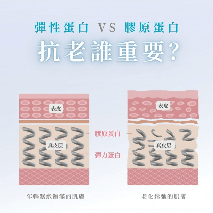 膠原蛋白的黃金比例