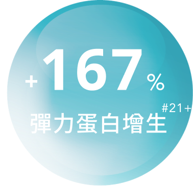 +167%彈力蛋白增生